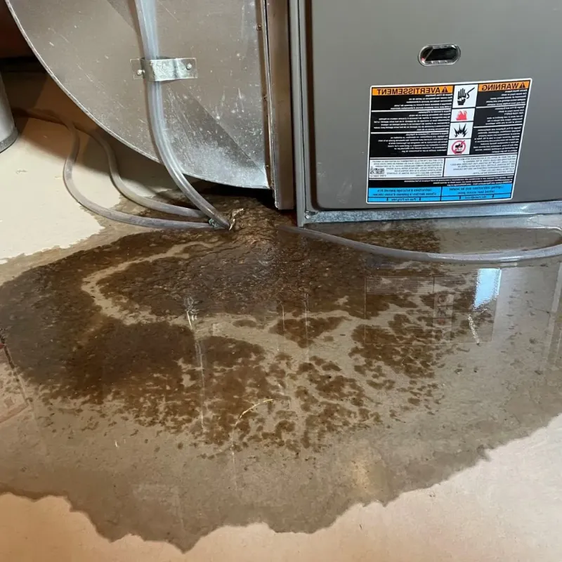 Pipe Burst and Leak Restoration in Heritage Creek, KY